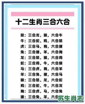 十二金牌是什么生肖？十二金牌正确答案一肖