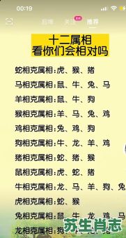 龙前狗后是什么生肖？龙前狗后三声最佳答案