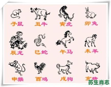 牛后猴前是什么生肖？十二生肖的排列顺序是什么