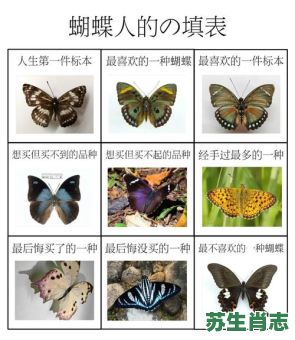 蝴蝶打一生肖是什么？蝴蝶最佳答案打一动物