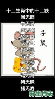 无家可归的生肖是什么？十二生肖谁没有家