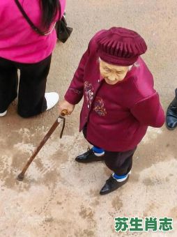 小脚女人是什么生肖？小脚女人打一准确动物