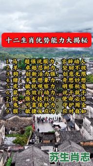 看谁有本领是什么生肖？看谁有本领最佳答案