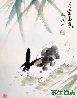 玉兔下凡是什么生肖？玉兔下凡打一最佳动物