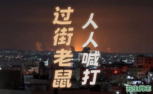 过街人人打是什么生肖?老鼠过街人人打正确答案 过街人人打是什么生肖?老鼠过街人人打正确答案