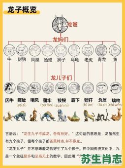 龙飞九天是什么生肖?飞龙九天最佳答案一肖 龙飞九天是什么生肖?飞龙九天最佳答案一肖