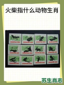 直木必伐是什么生肖？再实之木根最正确生肖