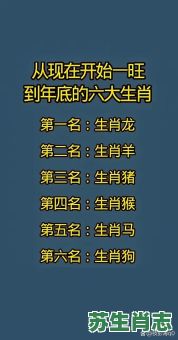 身手高超是什么生肖？身手高超有奇功打一数字
