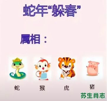 假斯文是什么生肖？看书假斯文打一正确动物