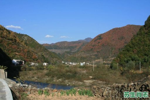 高山峻岭是什么生肖？高山峻岭打一动物