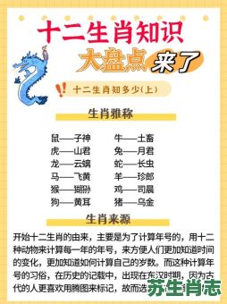 龙前兔后是什么生肖？龙前兔后最佳答案一肖