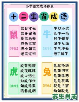 集思广益是什么生肖？集思广益打一准确动物