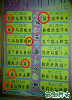 替是什么生肖?替字打一准确生肖 替是什么生肖?替字打一准确生肖