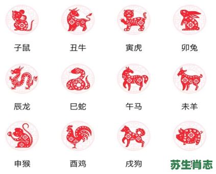 哪是什么生肖？壑指的是哪一个生肖