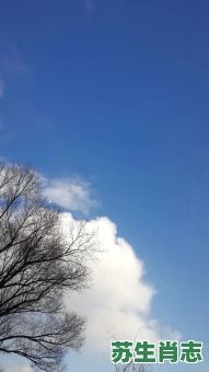 青天白云是什么生肖？青天白云打一正确生肖