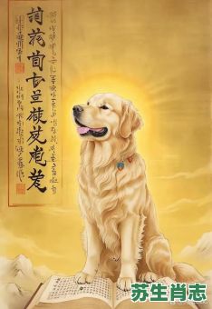 入不敷出是什么生肖？入不敷出打一最佳动物