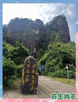 龙山虎山是什么生肖？龙山虎山打一正确生肖