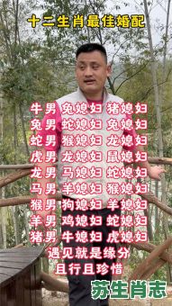 才子配佳人是什么生肖？才子配佳人打一生肖动物
