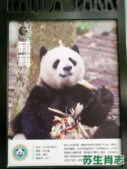 欲钱买手机是什么生肖？欲钱买手机打一准确数字