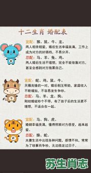 一双一对是什么生肖?一双是一对的意思吗 一双一对是什么生肖?一双是一对的意思吗