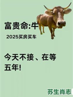 一干二净是什么生肖？一干二净打一准确生肖