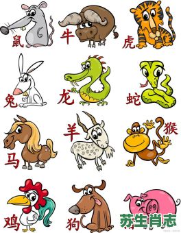 小喇叭是什么生肖？喇叭打一准确动物