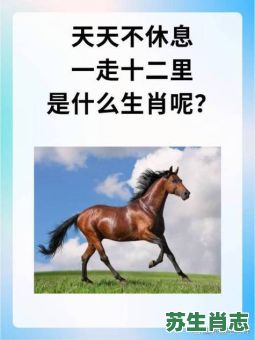 喝西北风是什么生肖?北风指的是什么生肖 喝西北风是什么生肖?北风指的是什么生肖
