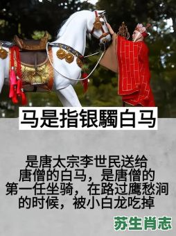 西游记唐僧是什么生肖？唐僧指什么生肖最佳答案