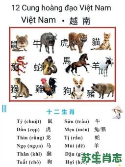 腔是什么生肖？腔字代表什么动物