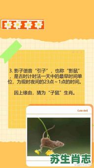 打家劫舍是什么生肖？截字猜一生肖