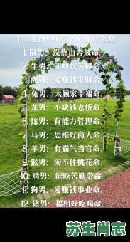 潮是什么生肖？潮字最旺三个属相是什么