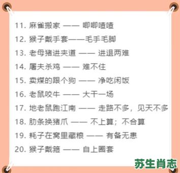 什么打架看蹄是什么生肖？歇后语什么打架纠缠