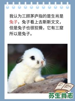 刘备的动物是什么生肖？刘备正确最佳生肖是什么