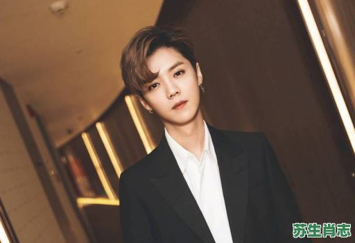 鹿晗的生肖是什么？鹿晗现在是什么咖位