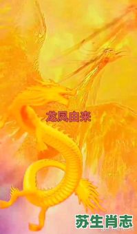 是龙是凤是什么生肖？龙凤生肖里指的是谁