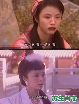 笑八仙是什么生肖？八仙正确答案一肖