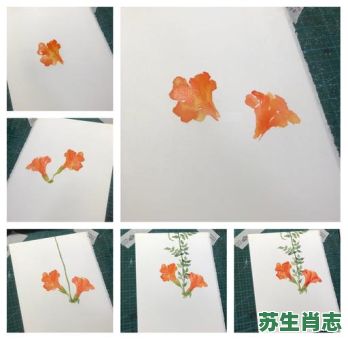 一步凌霄是什么生肖？一步凌霄最正确生肖