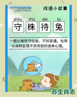 守珠待兔是什么生肖？守株待兔打一准确动物