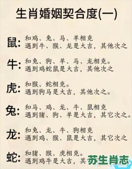 才人生肖是什么生肖？才人最佳答案一肖