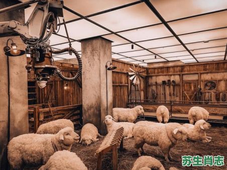 羊圈之内是什么生肖？羊圈之内打一数字