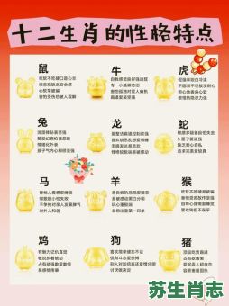 2011是什么年生肖？11年属什么生肖