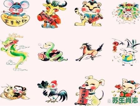 农家之宝是什么生肖？农家的宝贝正确生肖是