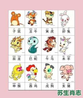 牛马相克的是什么生肖？牛马相合相克出是什么呀