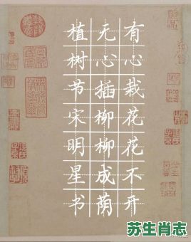 无心插柳是什么生肖？无心插柳打一最佳答案