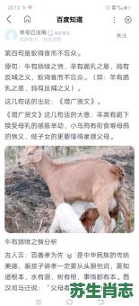 一生孝道是什么生肖？一生孝道还母恩的动物