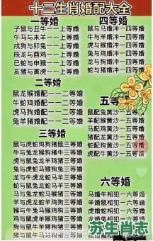 娶是什么生肖?婚,是什么生肖 娶是什么生肖?婚,是什么生肖