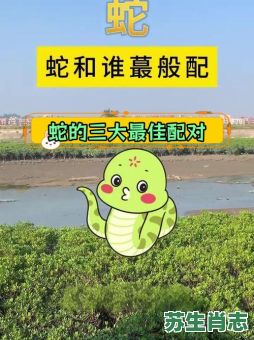 满地小蛇是什么生肖?满地水蛇是代表什么生肖 满地小蛇是什么生肖?满地水蛇是代表什么生肖