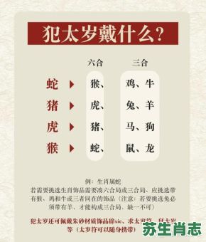 张良献计是什么生肖？张良献计准确生肖历史