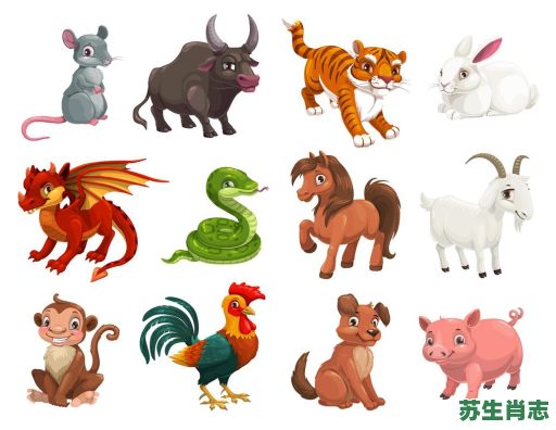 狂奔的动物是什么生肖？狂奔代表哪几个生肖
