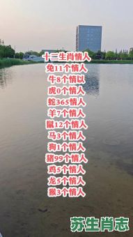 欲钱看情人是什么生肖？情肖打一最佳生肖